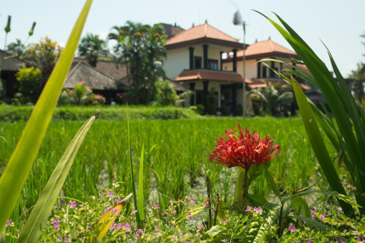 Puji Hostel And Bungalow Ubud Ngoại thất bức ảnh